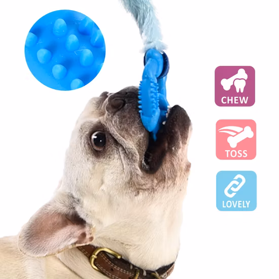 Brinquedo para animais de estimação Série de corda elástica Brinquedo para cães Bungee Chaser Tug Toy