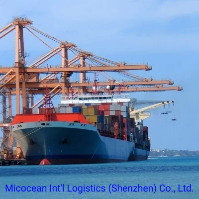 Serviços de transporte marítimo FCL/LCL da China para Angola