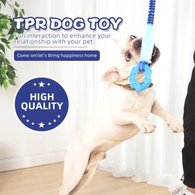 Brinquedo para animais de estimação Série de corda elástica Brinquedo para cães Bungee Chaser Tug Toy